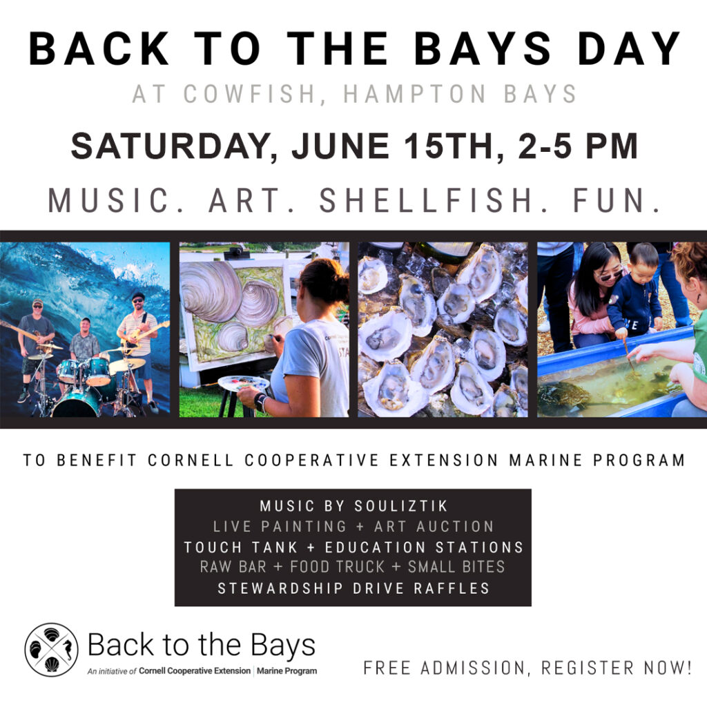 Back to the Bays summer event